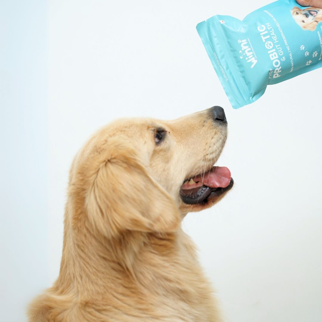 PAW-SOME PROMISE FUR-EVER!