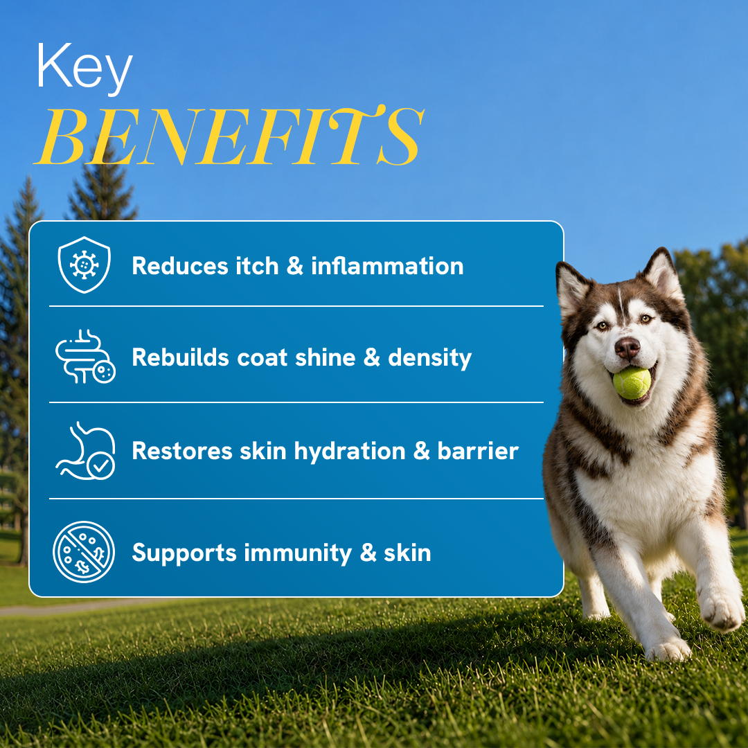 Skin & Coat Supplement for Dogs