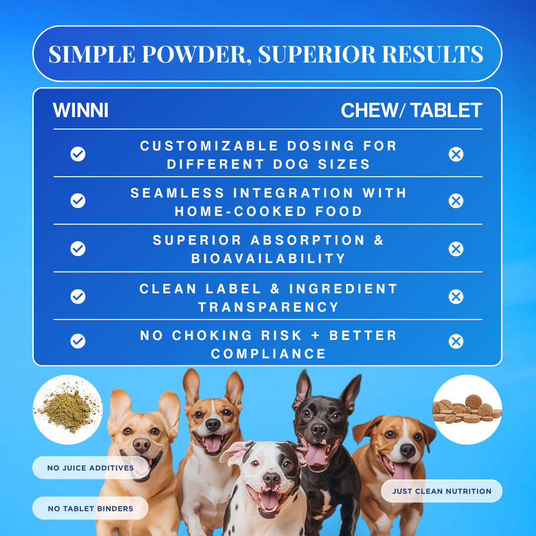 Pre + Probiotics & Gut Health for Dogs