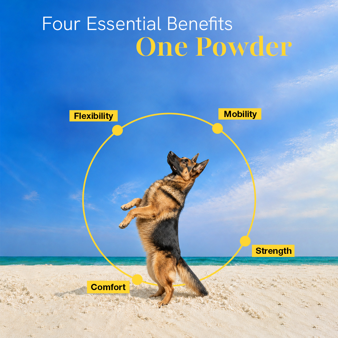 Hips & Joint Supplement for Dogs
