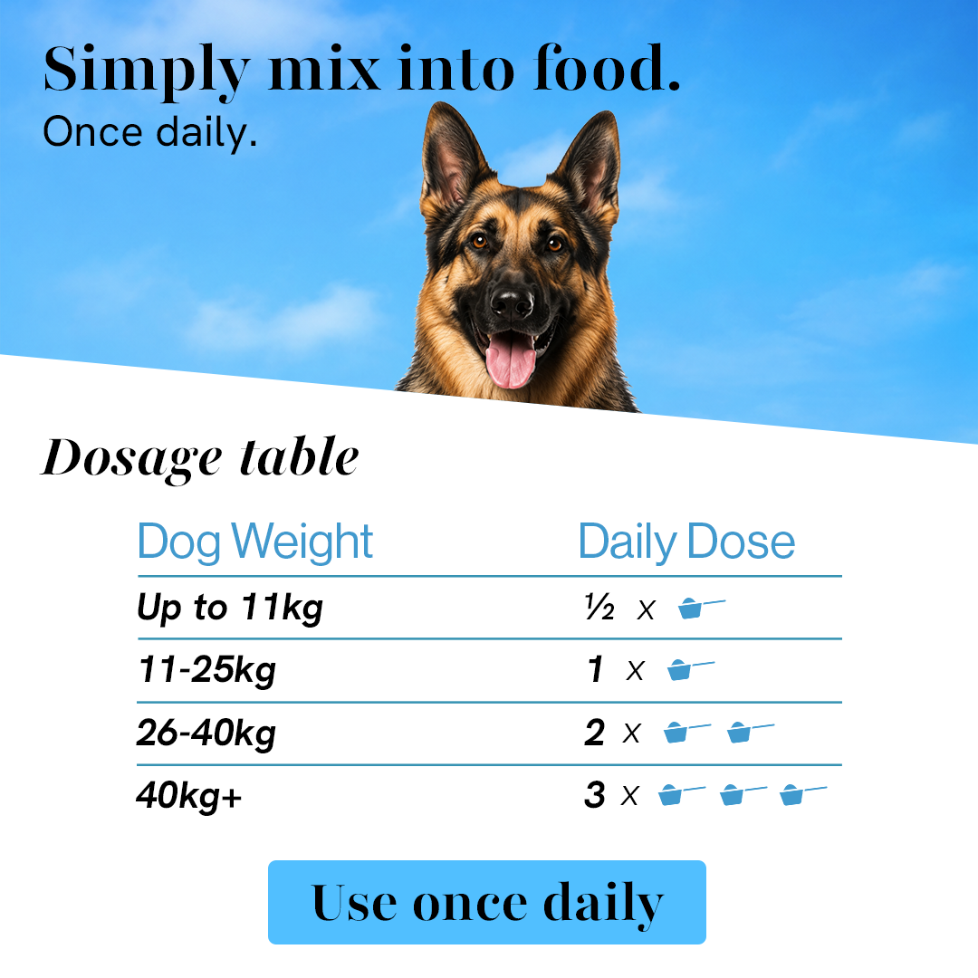 Hips & Joint Supplement for Dogs