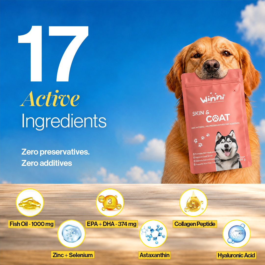 Skin & Coat Supplement for Dogs