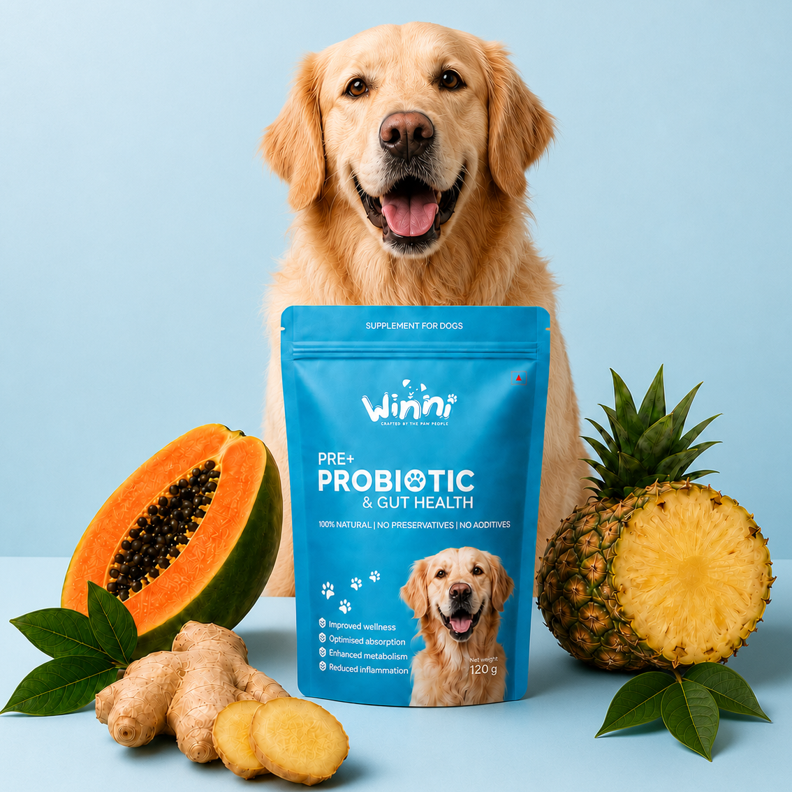 Pre + Probiotics & Gut Health Supplement for Dogs
